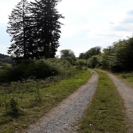 Geraeumige Im Sauerland Διαμέρισμα Assinghausen