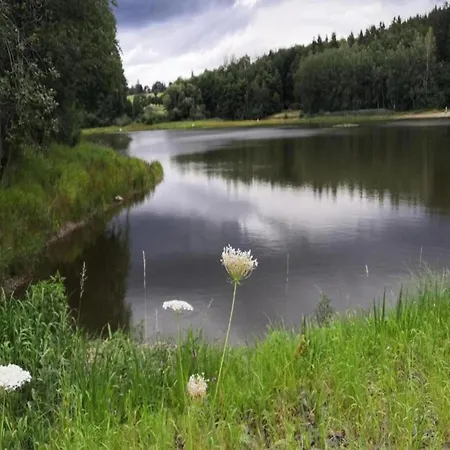 Geraeumige Im Sauerland