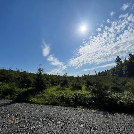 Geraeumige Im Sauerland Διαμέρισμα