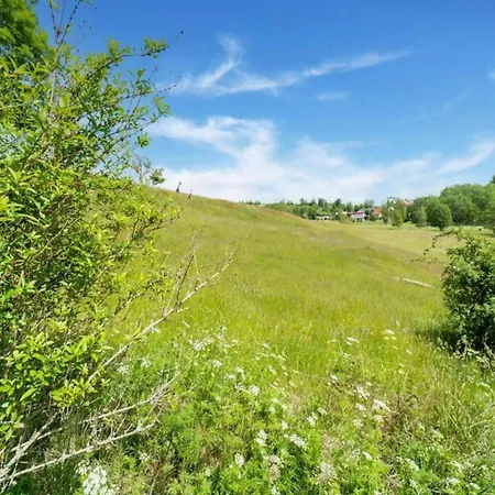 Apartment Geraeumige Im Sauerland Assinghausen