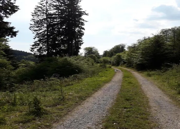 Geraeumige Im Sauerland Apartmán Assinghausen