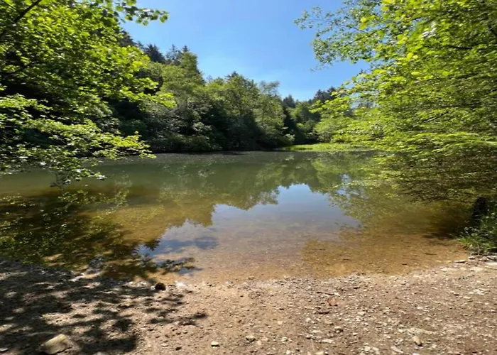 Geraeumige Im Sauerland Apartmán