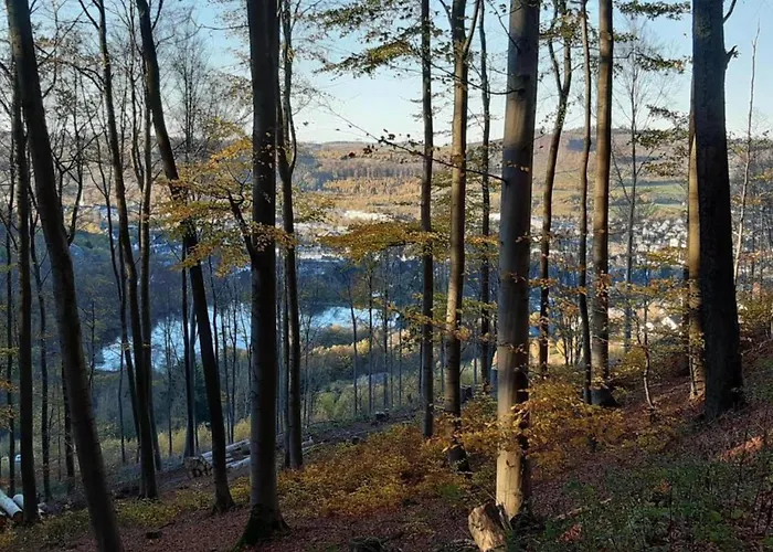 아파트 Geraeumige Im Sauerland