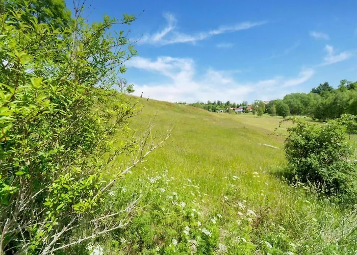Apartmán Geraeumige Im Sauerland Assinghausen